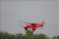 IMG_0387 (800x533)