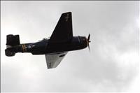 IMG_0689 (800x533)