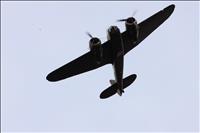 IMG_0699 (800x533)