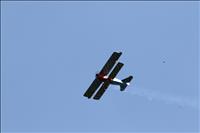 6N0A7528