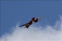 duxford 2017 214 small